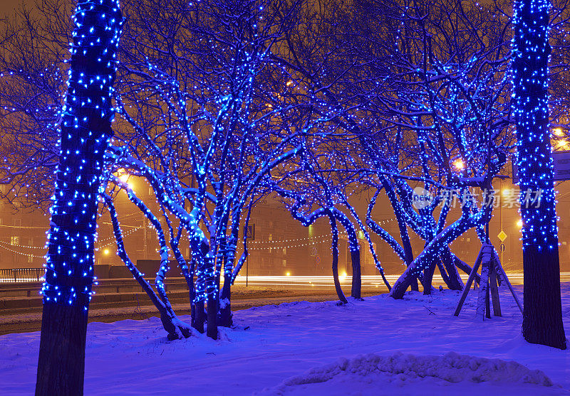 莫斯科的冬夜，圣诞节/新年时间。